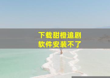 下载甜橙追剧软件安装不了