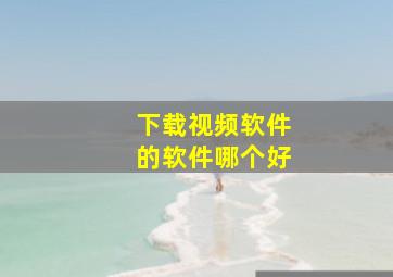 下载视频软件的软件哪个好