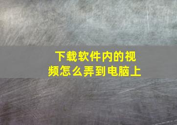 下载软件内的视频怎么弄到电脑上