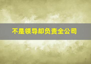 不是领导却负责全公司