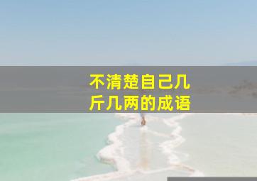 不清楚自己几斤几两的成语