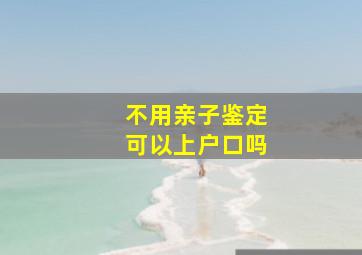 不用亲子鉴定可以上户口吗