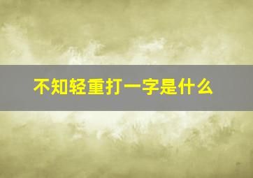 不知轻重打一字是什么