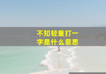 不知轻重打一字是什么意思