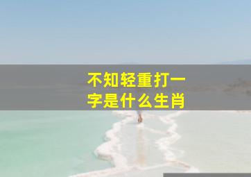 不知轻重打一字是什么生肖