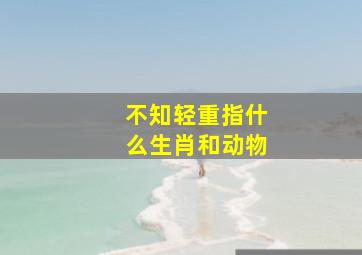 不知轻重指什么生肖和动物