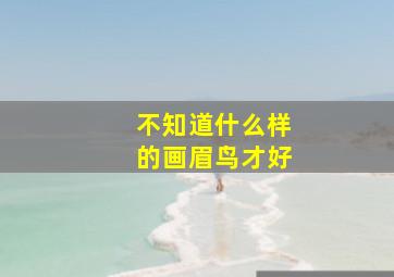 不知道什么样的画眉鸟才好