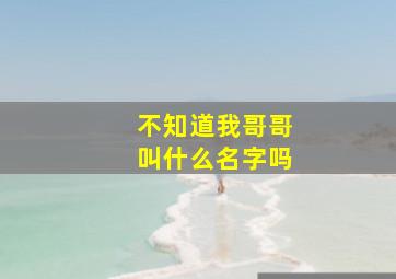 不知道我哥哥叫什么名字吗