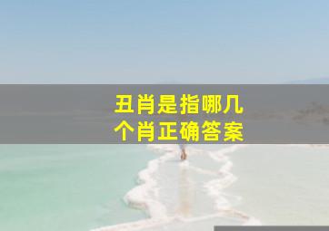 丑肖是指哪几个肖正确答案