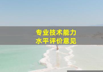 专业技术能力水平评价意见