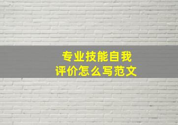 专业技能自我评价怎么写范文