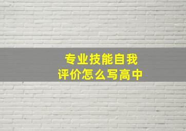 专业技能自我评价怎么写高中