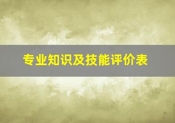 专业知识及技能评价表