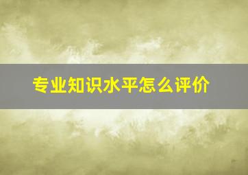 专业知识水平怎么评价