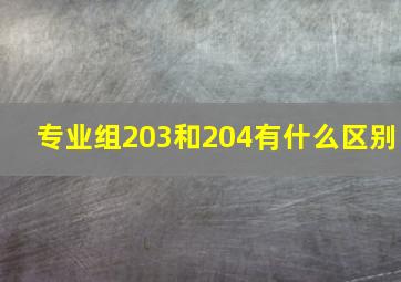 专业组203和204有什么区别