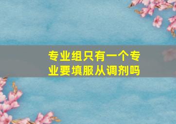 专业组只有一个专业要填服从调剂吗