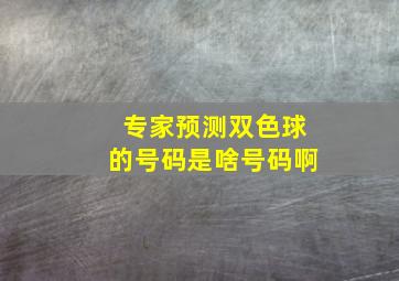 专家预测双色球的号码是啥号码啊