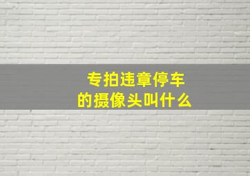 专拍违章停车的摄像头叫什么