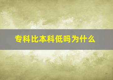 专科比本科低吗为什么