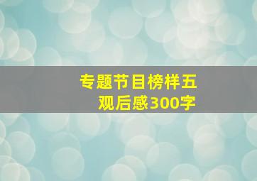 专题节目榜样五观后感300字