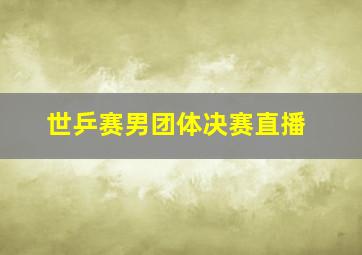 世乒赛男团体决赛直播