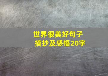 世界很美好句子摘抄及感悟20字