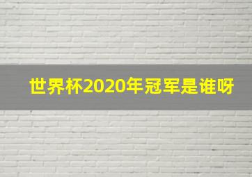 世界杯2020年冠军是谁呀