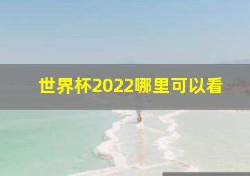 世界杯2022哪里可以看