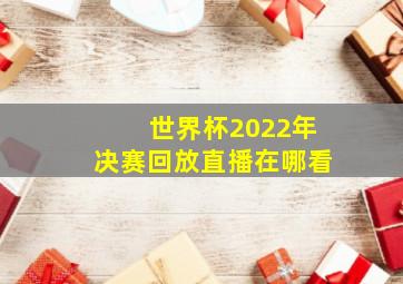 世界杯2022年决赛回放直播在哪看