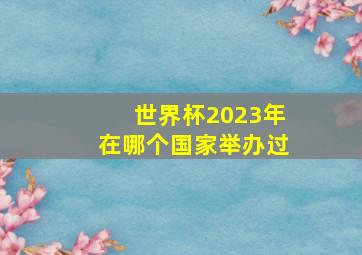 世界杯2023年在哪个国家举办过