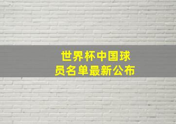 世界杯中国球员名单最新公布