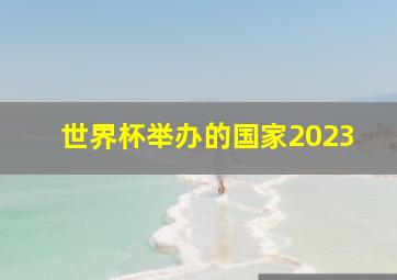 世界杯举办的国家2023