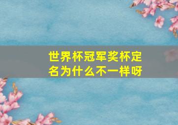 世界杯冠军奖杯定名为什么不一样呀