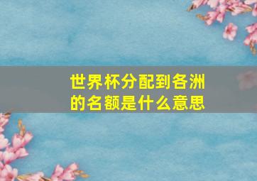 世界杯分配到各洲的名额是什么意思