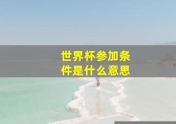 世界杯参加条件是什么意思