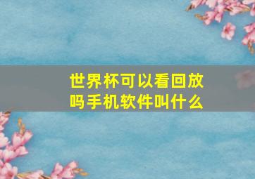 世界杯可以看回放吗手机软件叫什么