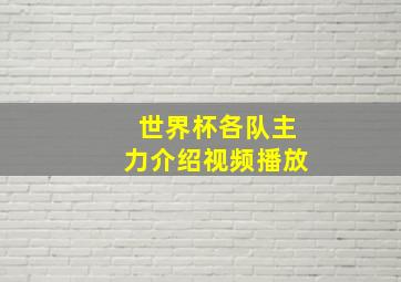 世界杯各队主力介绍视频播放