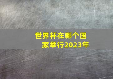 世界杯在哪个国家举行2023年