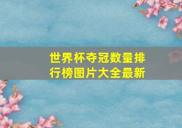 世界杯夺冠数量排行榜图片大全最新