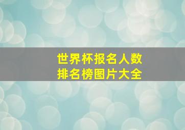 世界杯报名人数排名榜图片大全