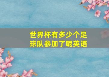 世界杯有多少个足球队参加了呢英语