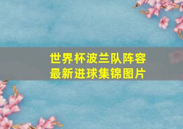 世界杯波兰队阵容最新进球集锦图片