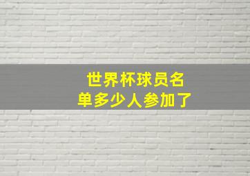 世界杯球员名单多少人参加了