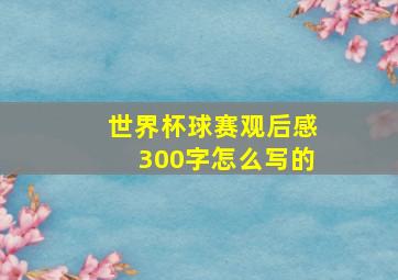 世界杯球赛观后感300字怎么写的