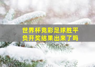 世界杯竞彩足球胜平负开奖结果出来了吗