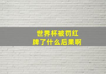 世界杯被罚红牌了什么后果啊