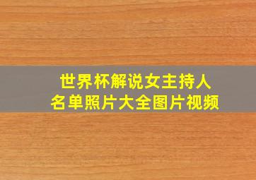 世界杯解说女主持人名单照片大全图片视频