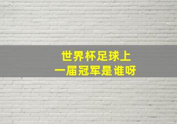 世界杯足球上一届冠军是谁呀