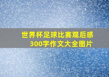 世界杯足球比赛观后感300字作文大全图片