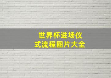 世界杯进场仪式流程图片大全